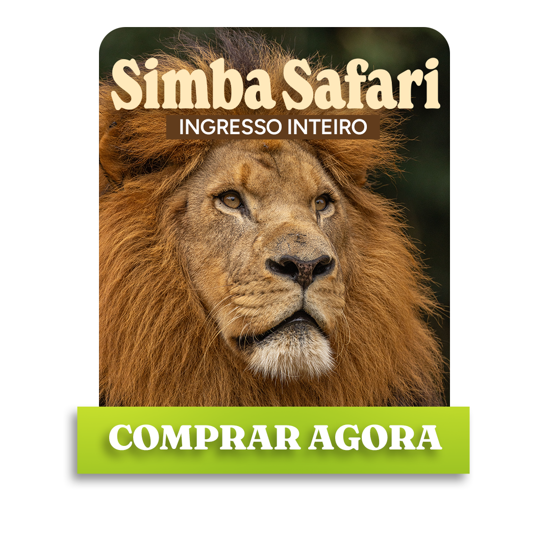 Ingresso Inteira - R$ 89,90
