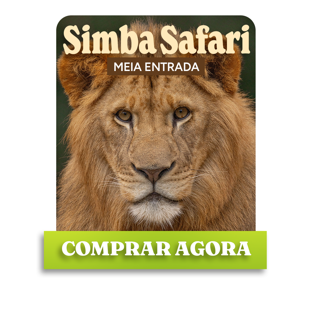 Ingresso Meia Entrada - R$ 59,90